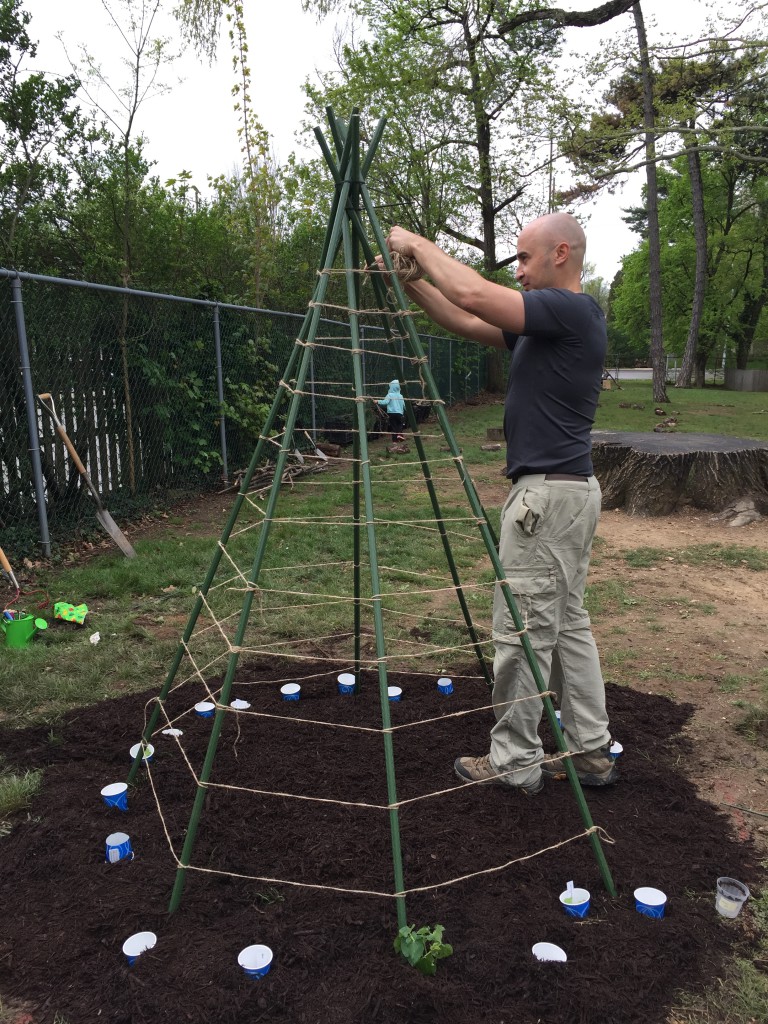 Montessori Playground Lower Merion Bala House Montessori Preschool